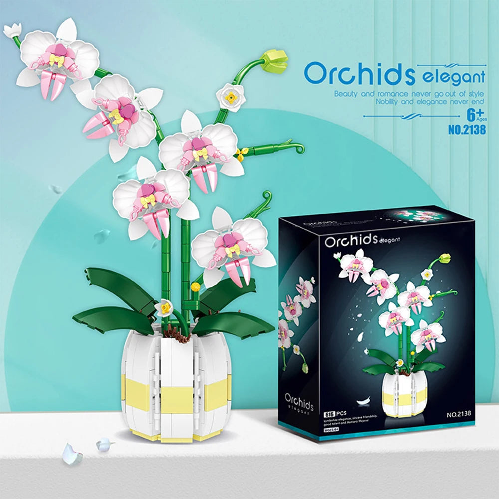 Planta Orquídeas